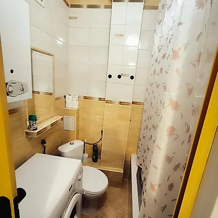 Апартаменты Ironworks 46 Ченстохова