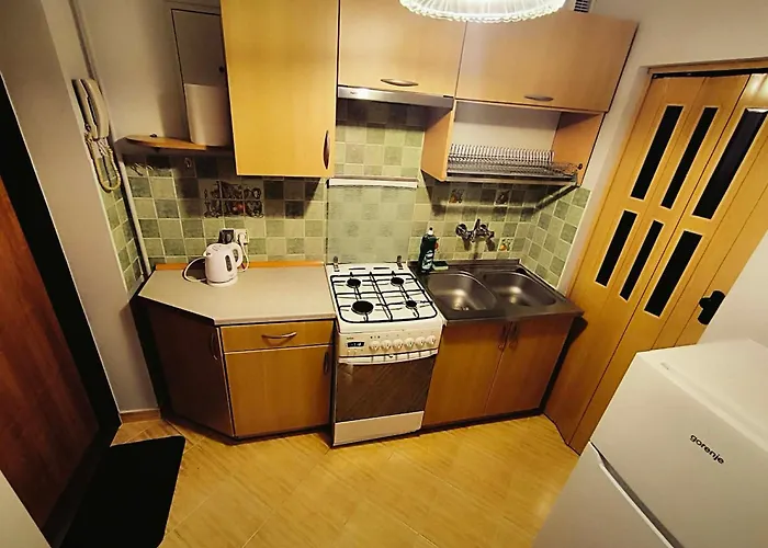 Ironworks 46 Apartament Częstochowa